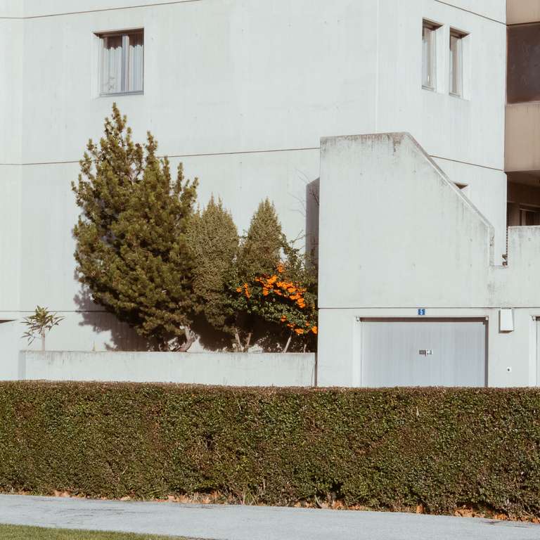 white elevation