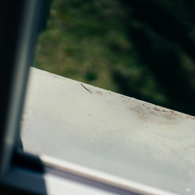 nearby relics, immutable decor